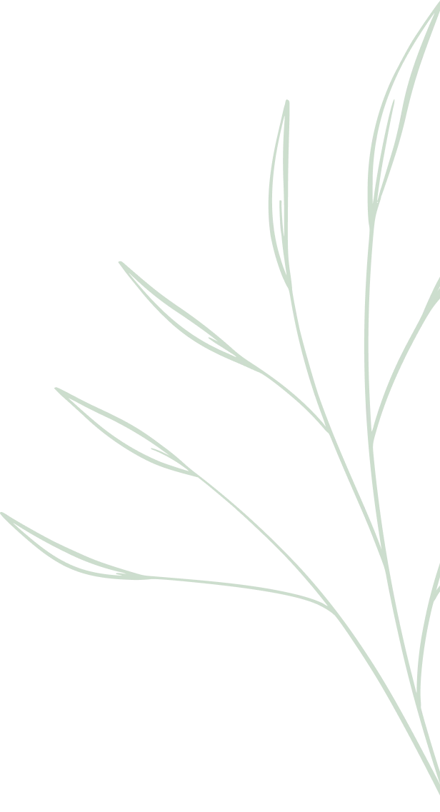 Green Background