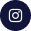 twitter icon